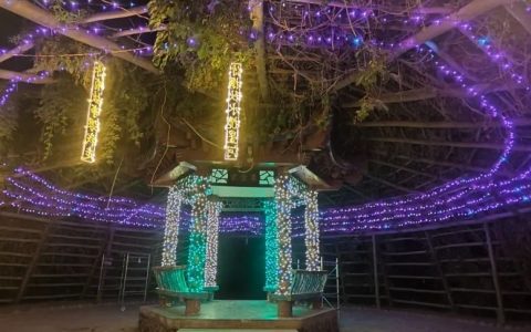 超燃！和田县“丝路夜·乐于阗”光影秀+多元表演 解锁核桃王树景区新玩法